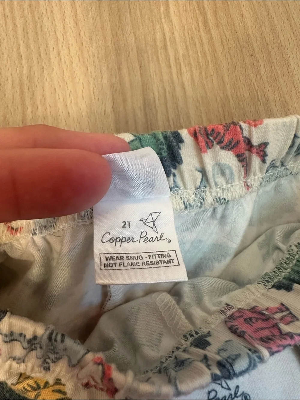 Copper Pearl Jurassic Park Kids Dinosaur Pajama Set - Multicolor Dino Print
